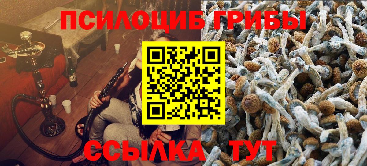 Галлюциногенные грибы прущие грибы Мелеуз